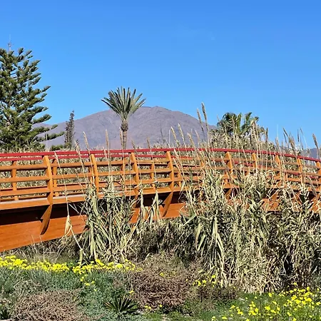 شقة La Perla Del Mar إِستيبونا